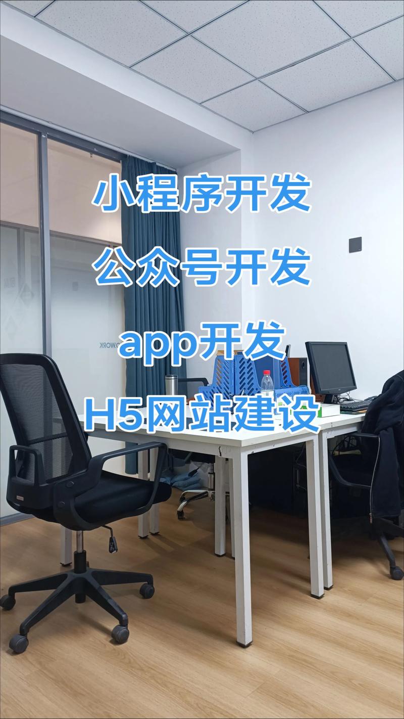 应用软件开发